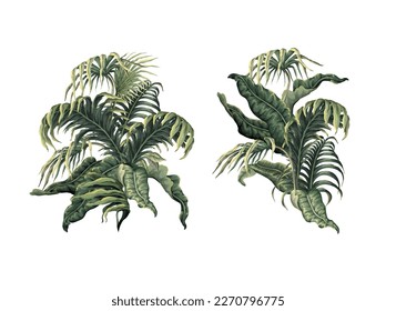 Tropical leaves isolated on the white background. Vector