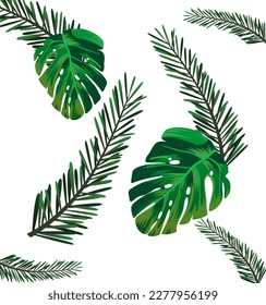 Tropical leaves isolated on white. Vector illustration