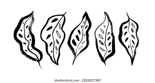 Tropical leaves isolated on white background. Hand drawn vector botanical elements collection. Brush drawn jungle plants, exotic leaves with ornament. Organic foliage. Black and white ink illustration