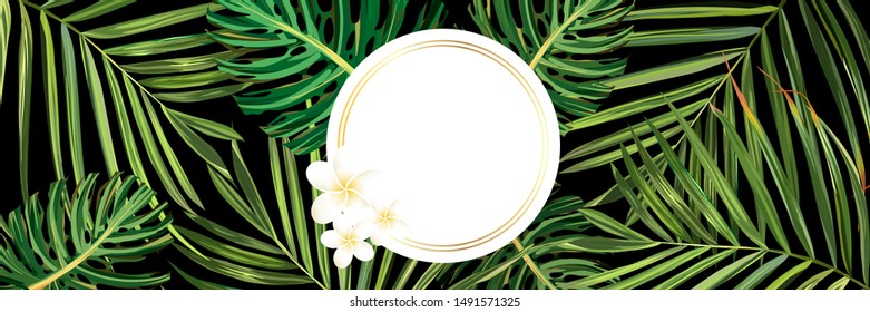 Tropical leaves. Jungle background flower and palm. Vector jungle illustration. Green tropical leaves banner