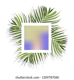 Tropical leaves. Jungle background flower and palm. Vector jungle illustration. Green tropical leaves banner.