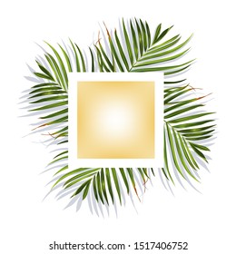 Tropical leaves. Jungle background flower and palm. Vector jungle illustration. Green tropical leaves banner.