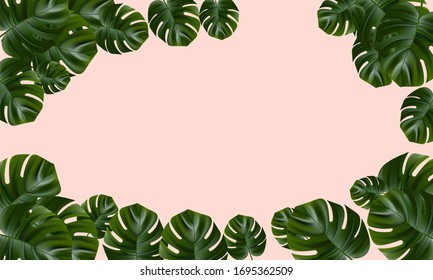 Tropical leaves. Jungle background flower and palm. Vector jungle illustration. Exotic tropical jungle rainforest bright green monstera leaves border frame template on pink background.