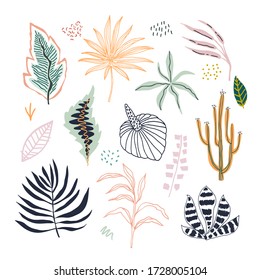 Tropical leaves jungle flat illustrations set. Jungle hand drawn clipart. Tropical foliage separate. Botanical floral collection. Vector illustration.