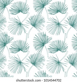 Tropical leaves, jungle pattern. Seamless, detailed, botanical pattern. Vector background. Palm leaves.