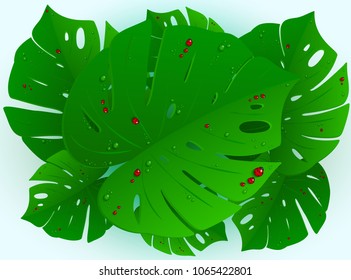 Tropical leaves and ladybugs. Vector Illustration 3D