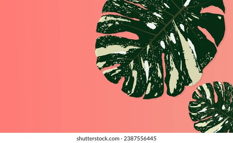 Tropical leaves, large and small monstera. On a pink or coral colored background and blank space or copy space on the side.