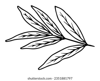 Tropical Leaves Line Art Illustration