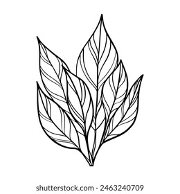 Tropical leaves line art illustration