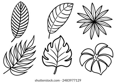 Tropical Leaves Line Art Illustration for Digital Artwork