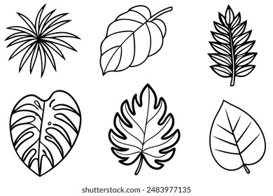 Tropical Leaves Line Art Illustration for Book Covers