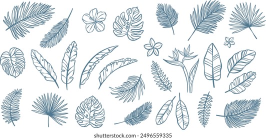 Tropical leaves line art vector illustration set, hand drawn foliage doodles, line design elements, exotic summer botanical collection, insulated
