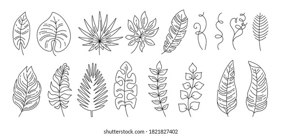 Tropical leaves line cartoon set. Exotic outline foliage, flat plants. Palm, wild leaf collection. Hawaiian hand drawn black linear elements jungle. Vector illustration on white background