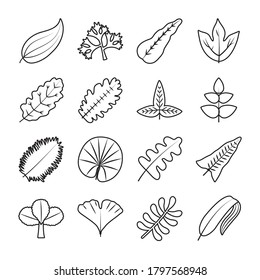 tropical leaves line style icon set design of Natural floral nature and plant theme Vector illustration