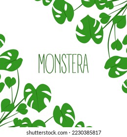 Tropical Leaves Monstera background. Monstera banner on white background with space for text. flat vector illustration