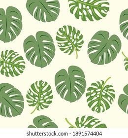 Tropical leaves, monstera, jungle leaf vector seamless floral summer pattern background. Botanical seamless pattern