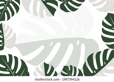 Tropical leaves Monstera on pink background. used for greeting cards, flyers, invitations, web design, to everything. vector illustration.