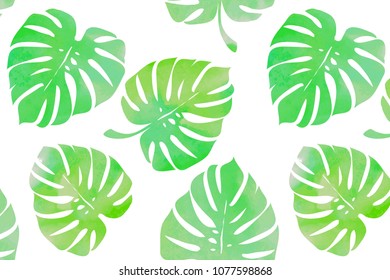 Tropical leaves, monstera on a white background. Watercolor seamless pattern. Vector illustration