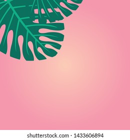 Tropical leaves monstera and philodendron on pink color background minimal summer