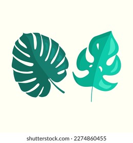 Tropical Leaves. Monstera. Vector illustration