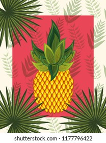 tropical leaves nature