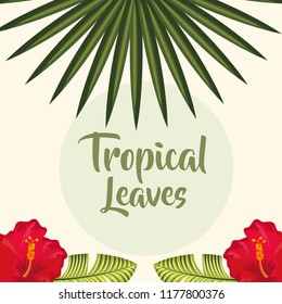 tropical leaves nature