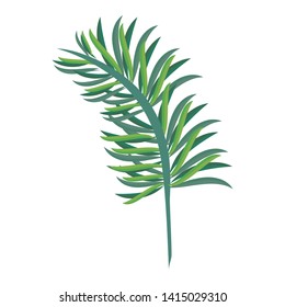 Tropical leaves nature cartoon isolated vector illustration graphic design