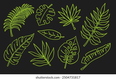 Tropical Leaves Neon Outline Collection. Palm, monstera, banana and other exotic leaves. Botanical vector hand drawn plants for print, poster, card, fabric in linear style on black background
