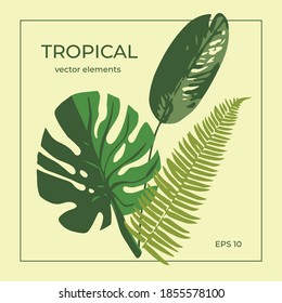 hojas tropicales en el fondo. imagen aislada vectorial.