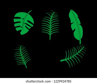 Tropical leaves on the black background