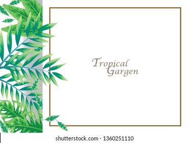 Tropical leaves on white background vector for decoration on summer events.