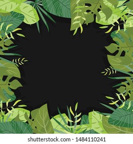 tropical leaves on white  background vector illustration hand draw desing