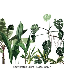 Tropical leaves on white background. Jungle foliage illustration. Exotic plants. Summer beach floral design. Paradise nature.