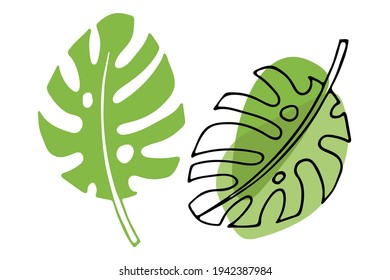 Tropical leaves on white background clipart. Doodle and flat sketch illustration. Floral Herb Design. Botanical plants tree foliage. Plant parts vector. Leaf plants botanical garden flower foliage