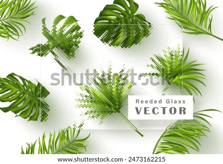 Tropical leaves on white background and fluted glass. Vector
