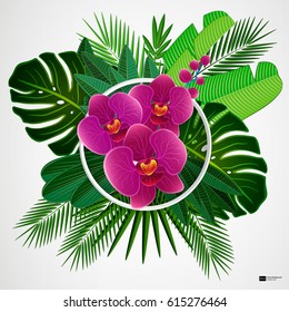 Tropical leaves with orchids and white frame on isolate background. Vector illustration. Eps 10.