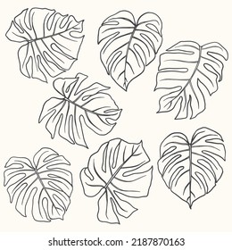 Tropical Leaves Outline drawing of monstera leaves. Vector Leaf for printing packaging, fabric, t-shirts, covers, posters. Exotic summer botanical illustrations.