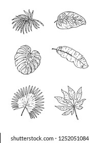 Tropical leaves outline isolated elements vector set