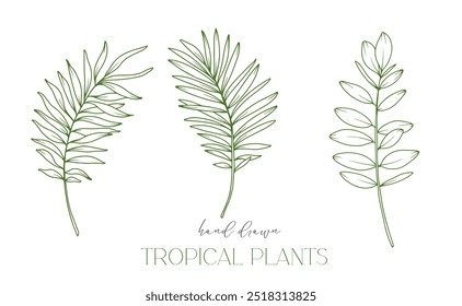 Tropical Leaves Outline. Plantas Tropicais De Arte Em Linha. Floral Line Art. Página de coloração de flores. Ilustração de Verde Tropical de Linha Fina. Flores desenhadas à mão. Flores de convite Tropical Wedding