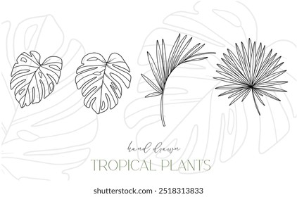 Tropical Leaves Outline. Line Art Tropical Plants. Floral Line Art. Flower Coloring Page. Fine Line Tropical Greenery illustration. Hand Drawn flowers. Tropical Wedding invitation flowers