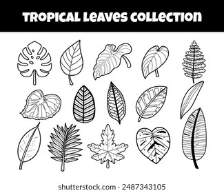 Tropical leaves outline set vector illustration