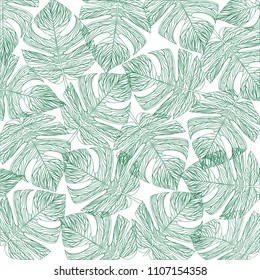 Tropical leaves outline,isolate background,Vector illustration.