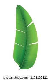 Tropical leaves palm branch realistic composition with isolated image on blank background vector illustration