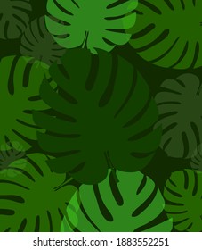 Tropical leaves. Palm and monstera. Seamless vector pattern.