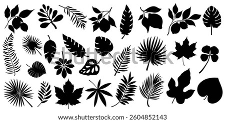 Tropical leaves, palm leaves silhouettes, diverse collection, black shapes, design elements, artistic embellishments, leaf vector