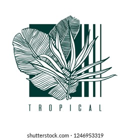Tropical leaves. Palm tree leaf, banana and monstera. Nature label with exotic foliage. Vector illustration.