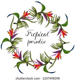  Tropical leaves of palm trees, exotic plants. Color illustration. Wreath.