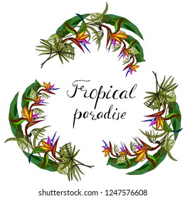 Tropical leaves of palm trees, exotic plants. Color illustration. The inscription is a tropical Paradise. 