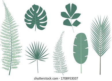 tropical leaves of palms and ferns vector set