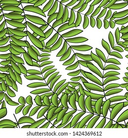 Tropical leaves, palms vector seamless pattern background